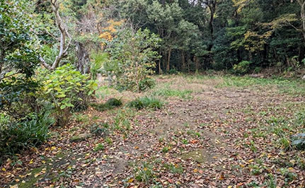 建物解体工事 撤去後の写真